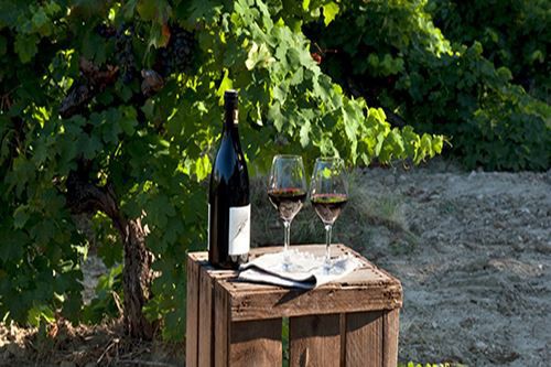 Jakie są klasyfikacje butelek wina?